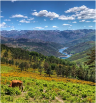 Gerês Natural Beauty