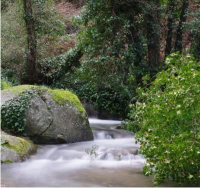 The best of the West Algarve