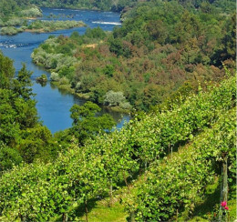 Great Rivers of Vinho Verde - Walking Tour